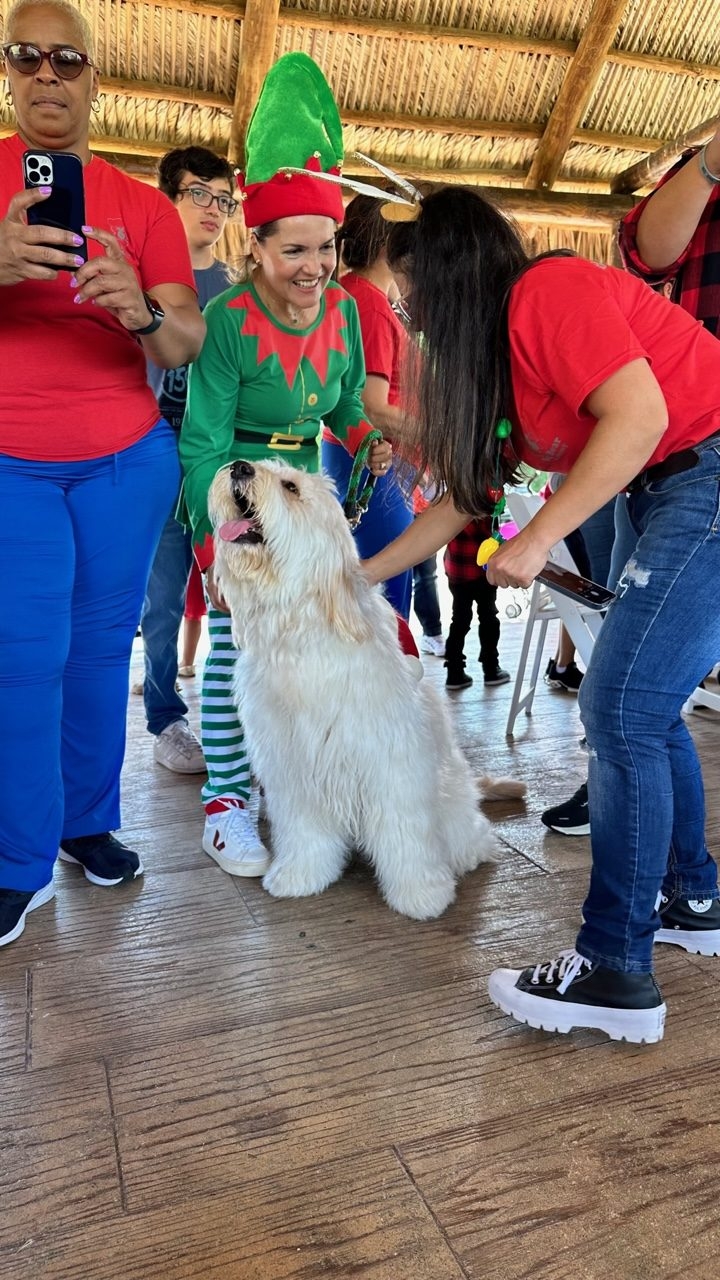 Santa Paws at Big Bear Academy | Ale Ramos Therapy Animals