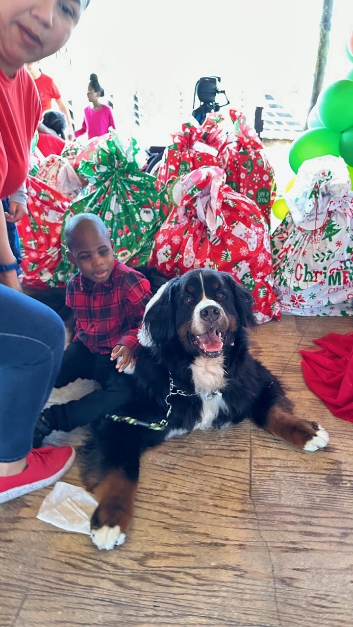 Santa Paws at Big Bear Academy | Ale Ramos Therapy Animals