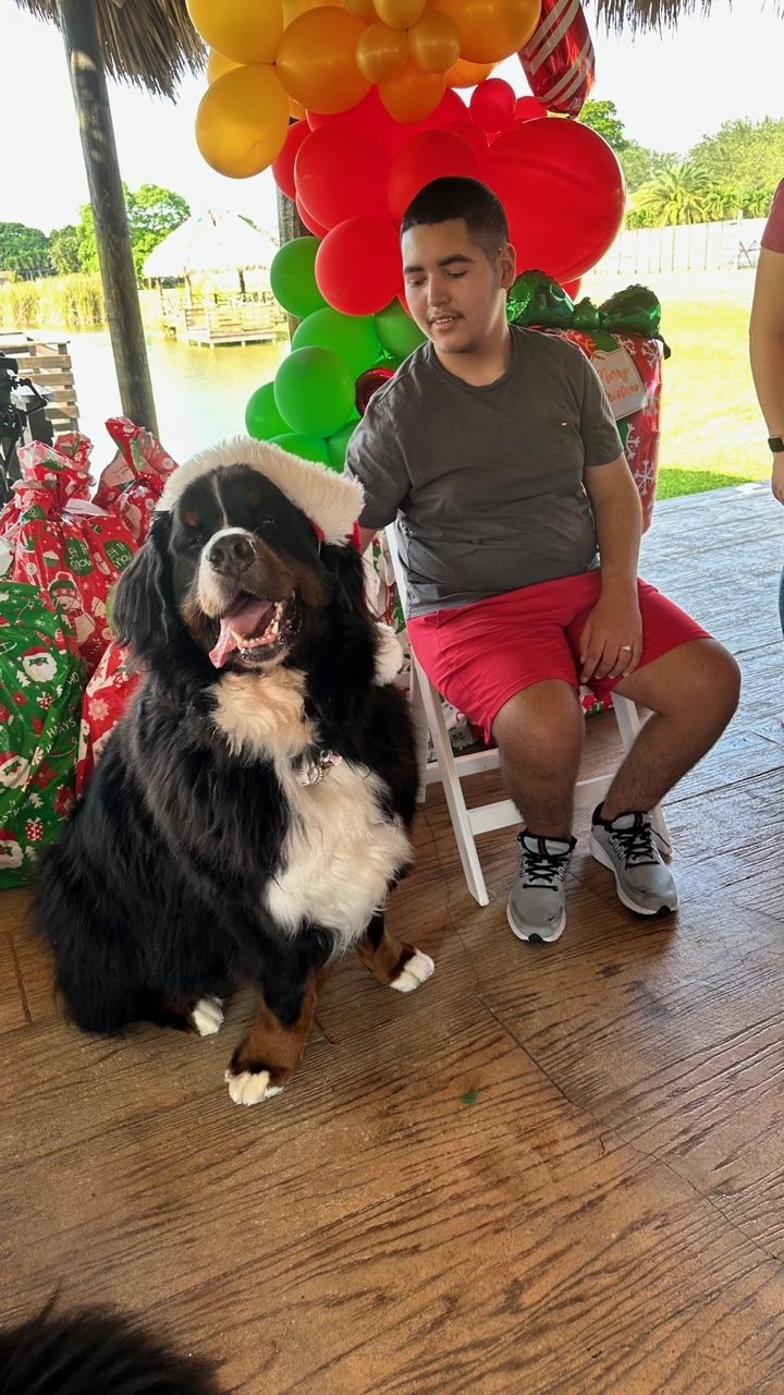 Santa Paws at Big Bear Academy | Ale Ramos Therapy Animals