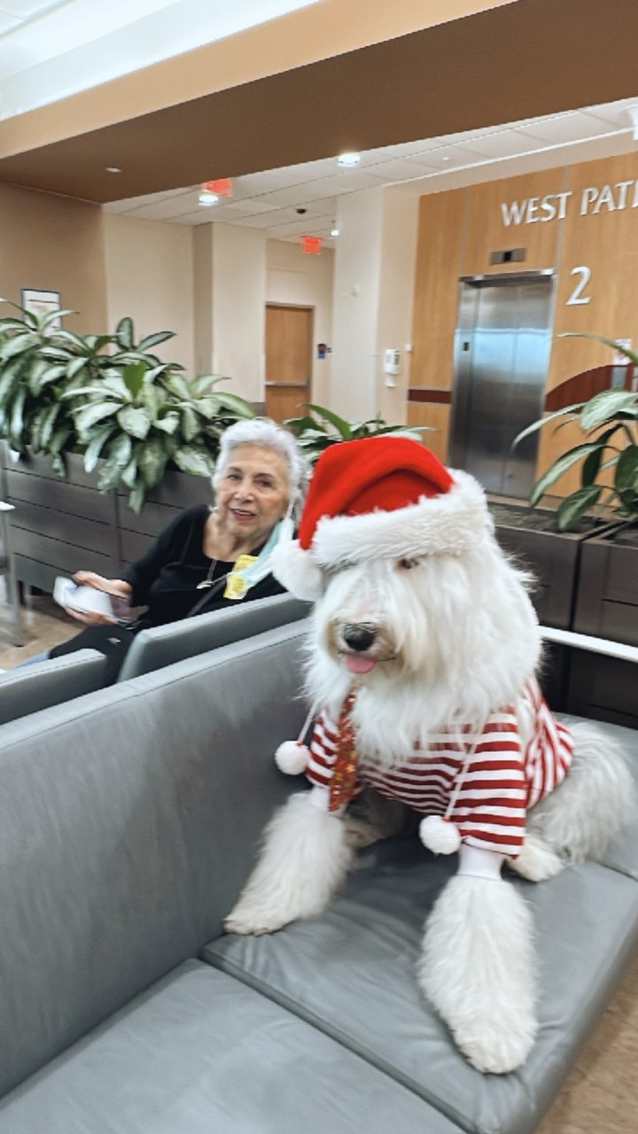 Santa Paws at Kendall Regional Hospital | Ale Ramos Therapy Animals