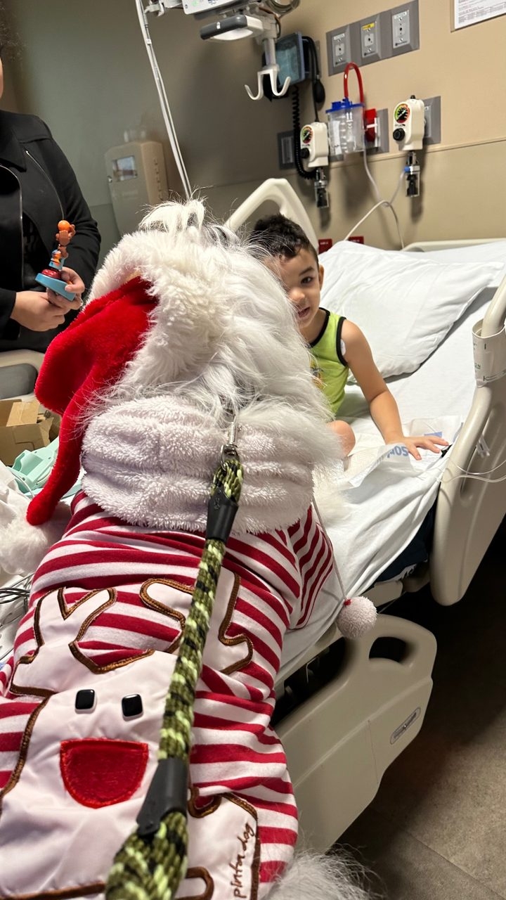 Santa Paws at Kendall Regional Hospital | Ale Ramos Therapy Animals