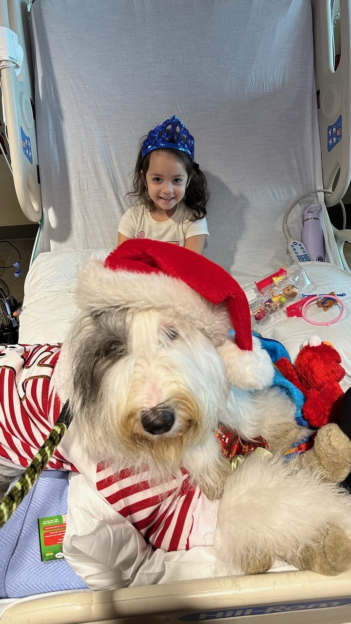 Santa Paws at Kendall Regional Hospital | Ale Ramos Therapy Animals