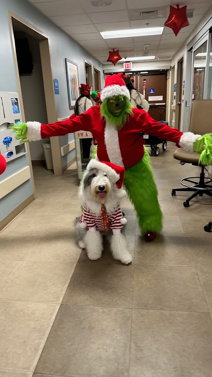 Santa Paws at Kendall Regional Hospital | Ale Ramos Therapy Animals