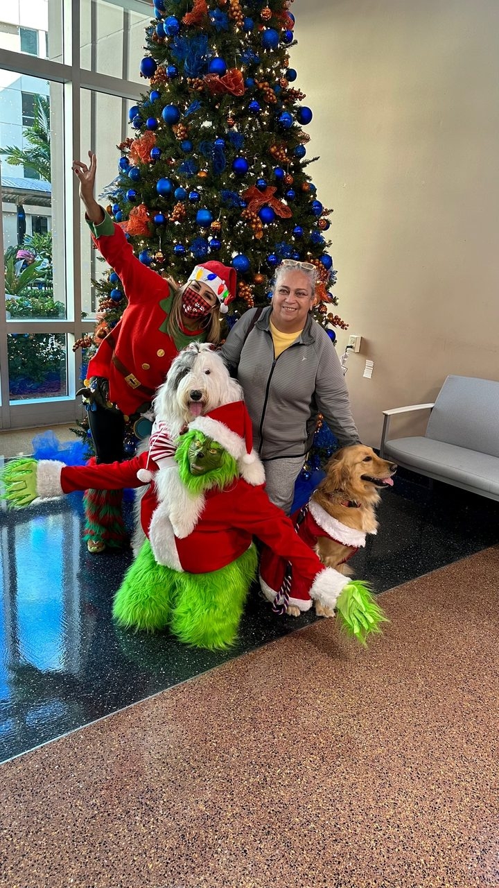 Santa Paws at Kendall Regional Hospital | Ale Ramos Therapy Animals