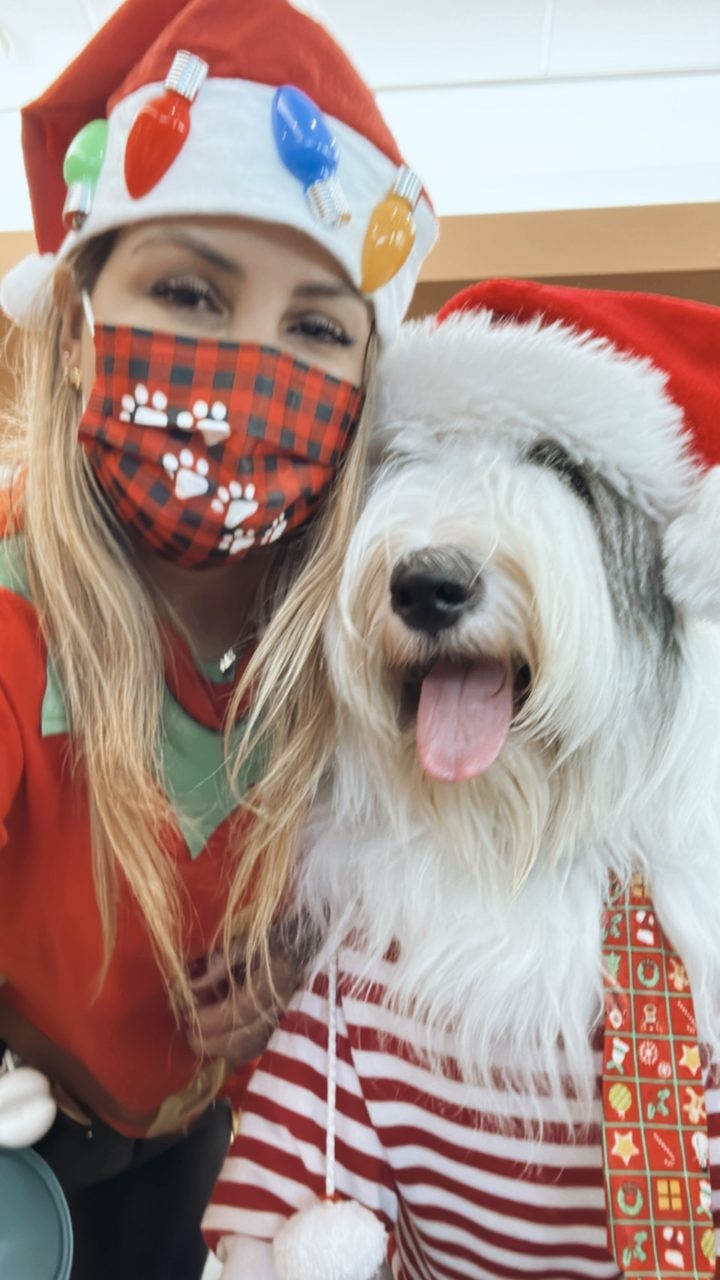 Santa Paws at Kendall Regional Hospital | Ale Ramos Therapy Animals