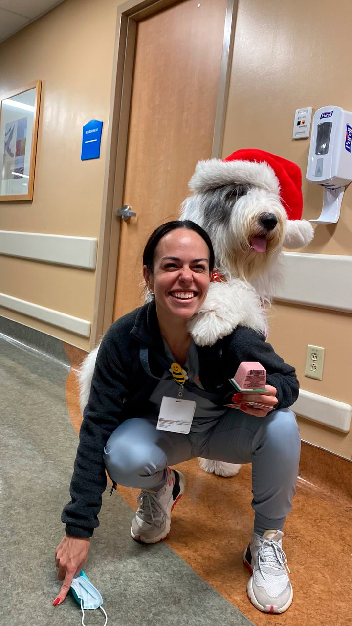 Santa Paws at Kendall Regional Hospital | Ale Ramos Therapy Animals