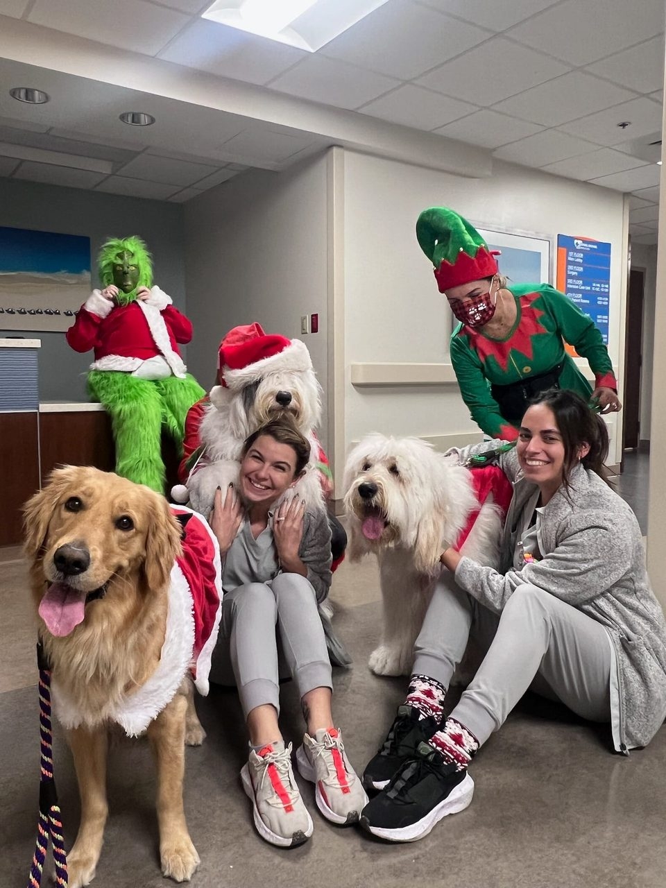 Santa Paws at Kendall Regional Hospital | Ale Ramos Therapy Animals