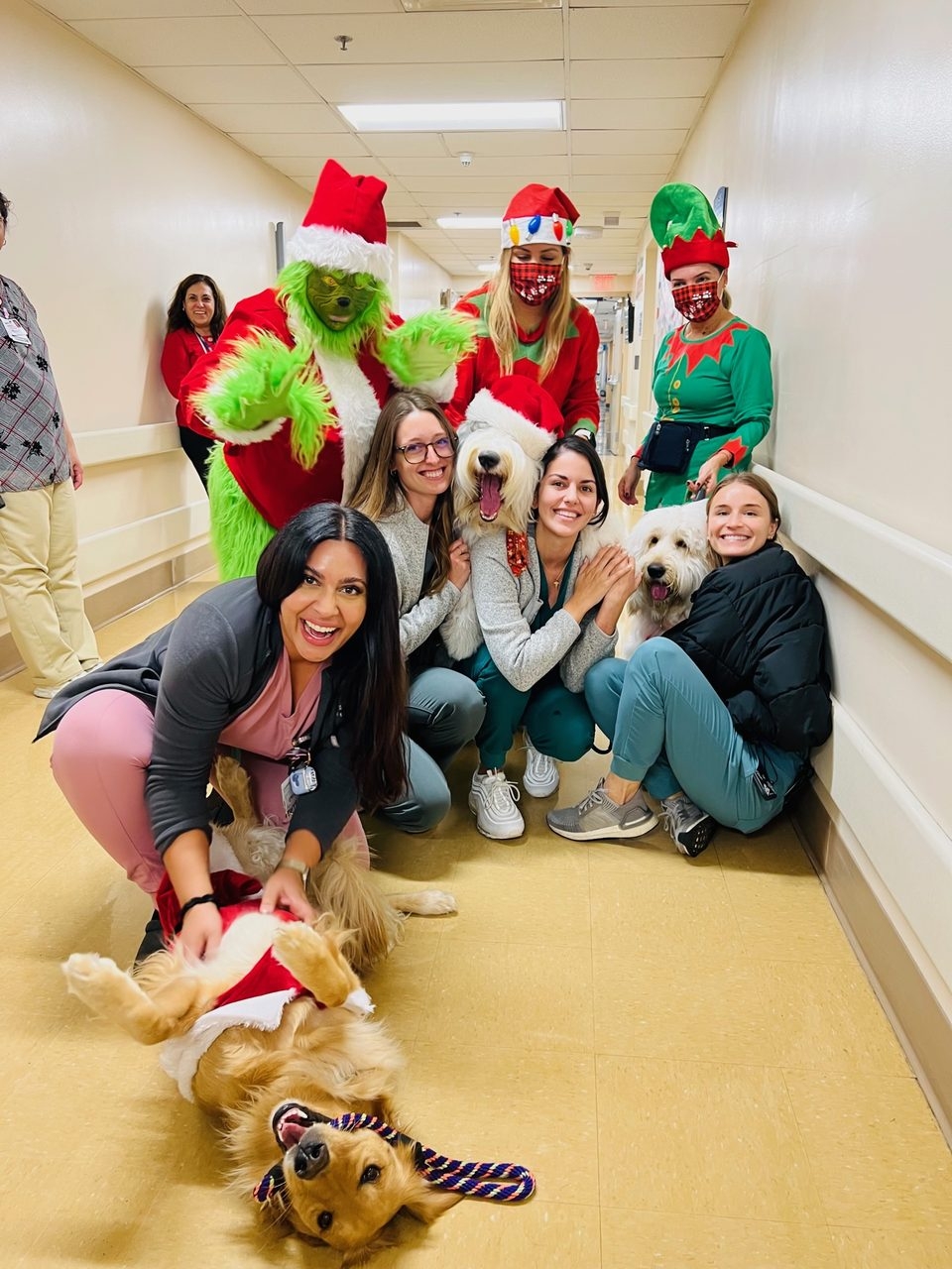 Santa Paws at Kendall Regional Hospital | Ale Ramos Therapy Animals