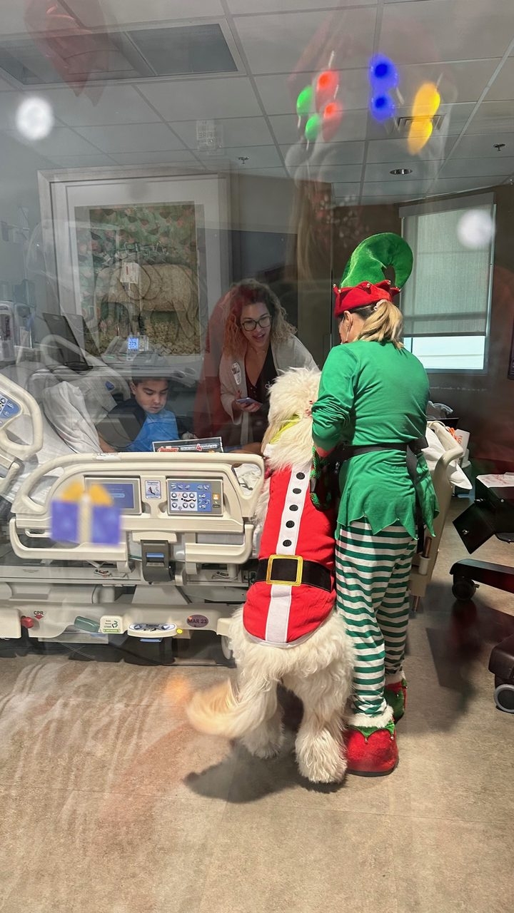 Santa Paws at Kendall Regional Hospital | Ale Ramos Therapy Animals