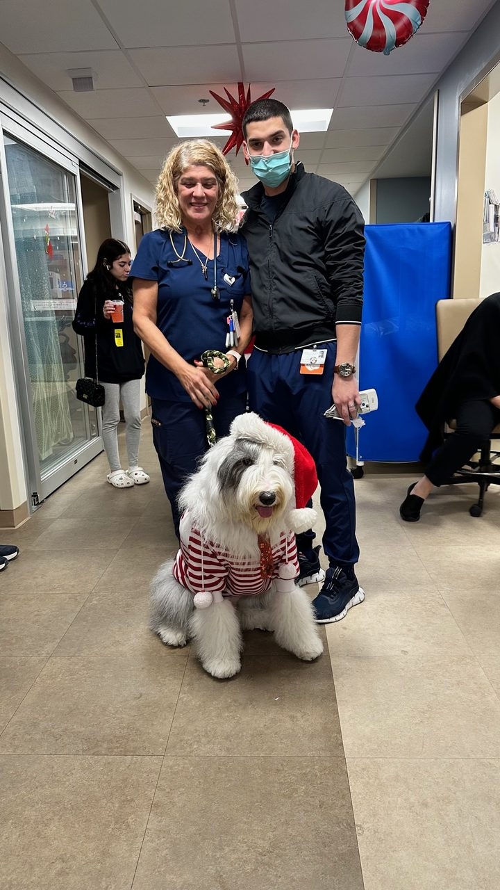 Santa Paws at Kendall Regional Hospital | Ale Ramos Therapy Animals