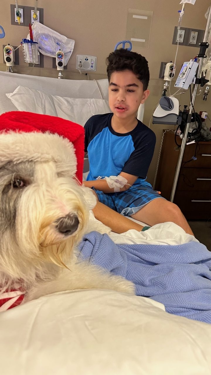 Santa Paws at Kendall Regional Hospital | Ale Ramos Therapy Animals