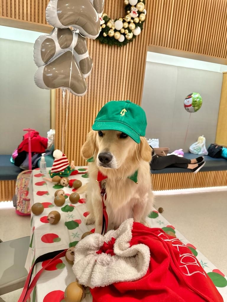 Santa Paws at Nicklaus Children’s Hospital | Ale Ramos Therapy Animals