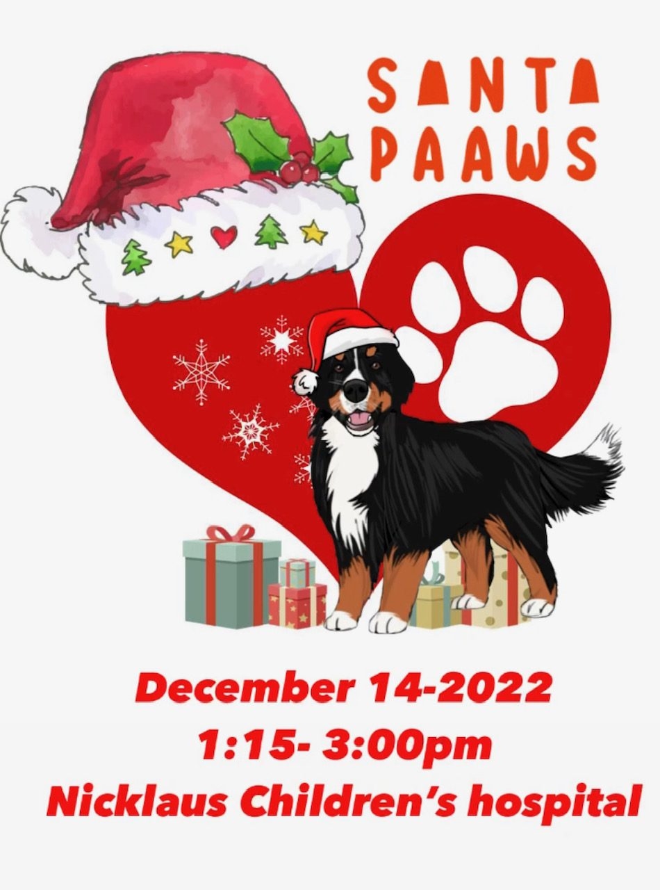 Santa Paws at Nicklaus Children’s Hospital | Ale Ramos Therapy Animals
