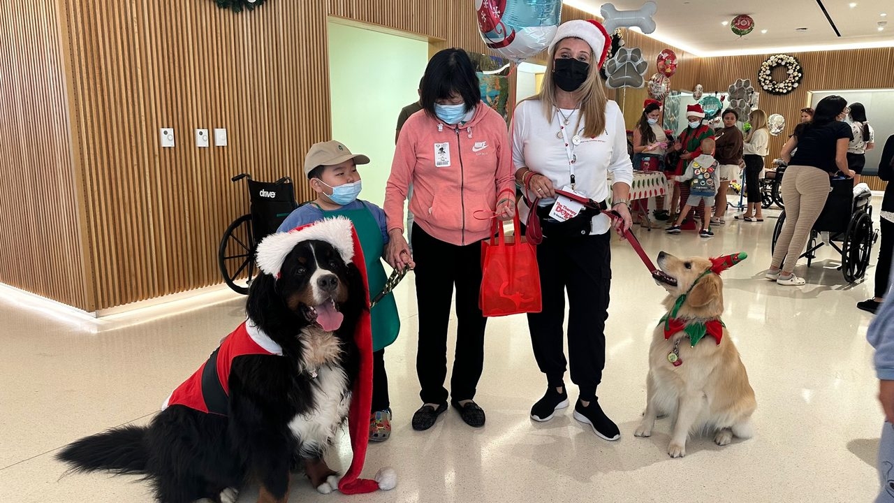 Santa Paws at Nicklaus Children’s Hospital | Ale Ramos Therapy Animals