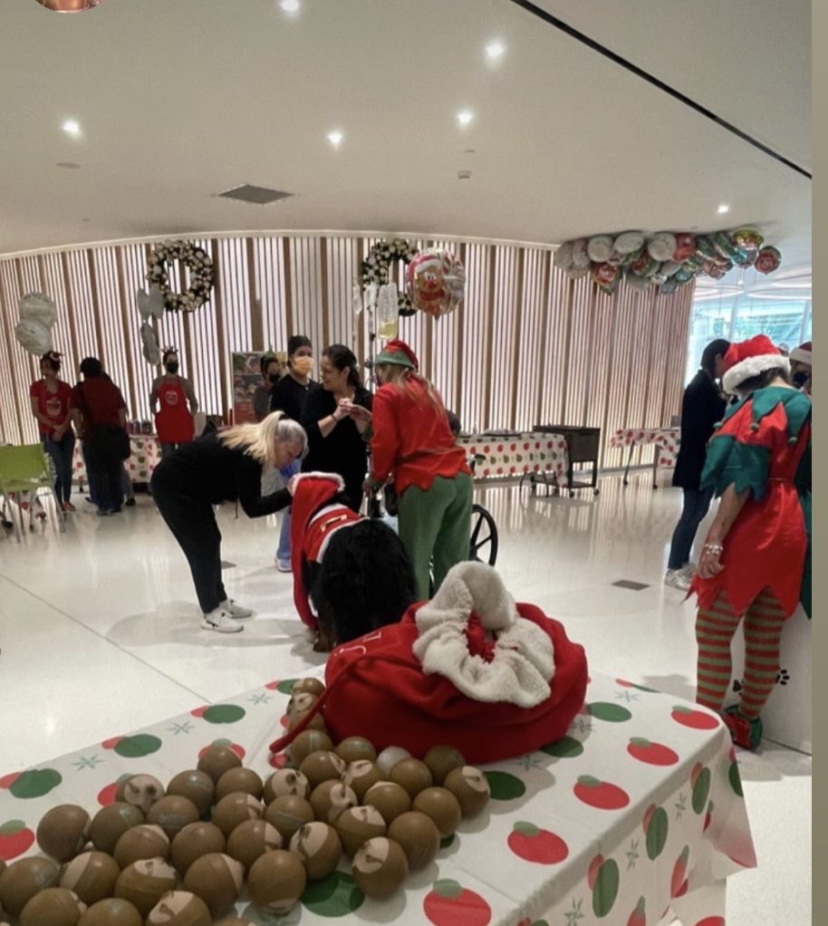 Santa Paws at Nicklaus Children’s Hospital | Ale Ramos Therapy Animals