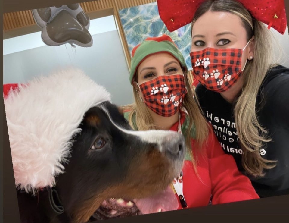 Santa Paws at Nicklaus Children’s Hospital | Ale Ramos Therapy Animals