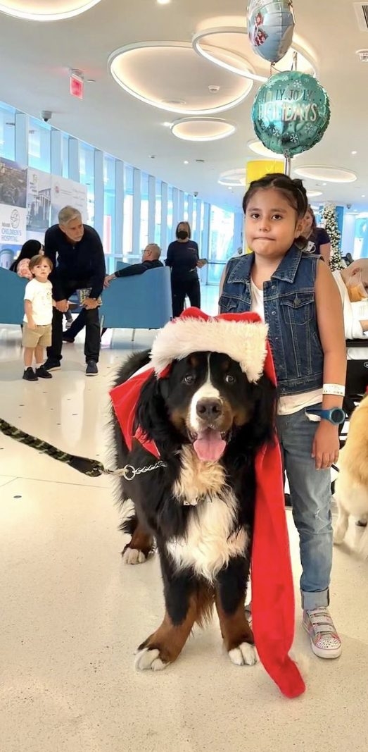 Santa Paws at Nicklaus Children’s Hospital | Ale Ramos Therapy Animals