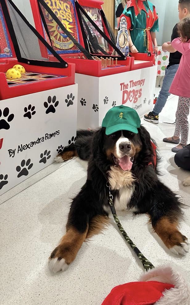 Santa Paws at Nicklaus Children’s Hospital | Ale Ramos Therapy Animals