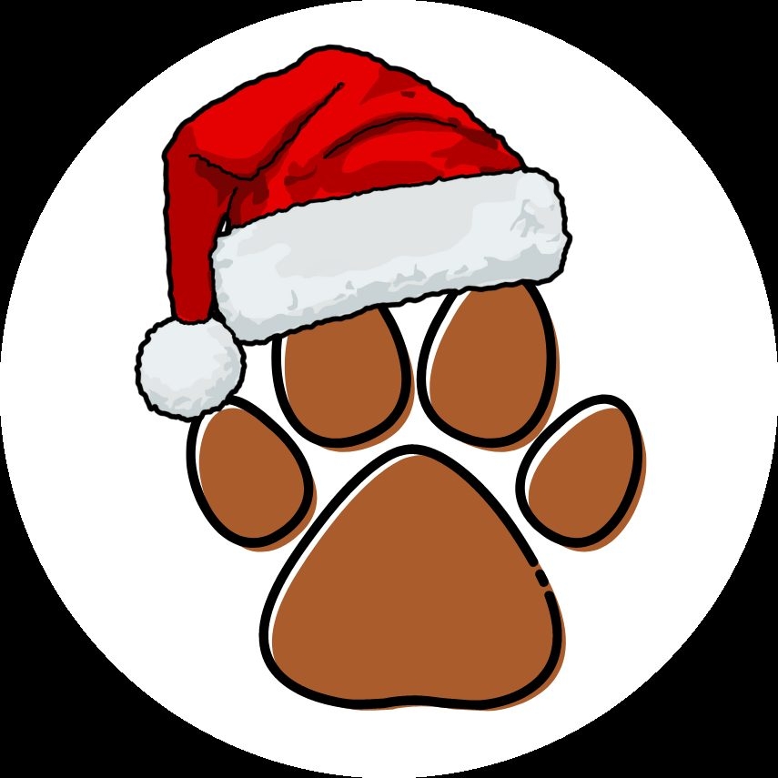 Santa Paws at Nicklaus Children’s Hospital | Ale Ramos Therapy Animals