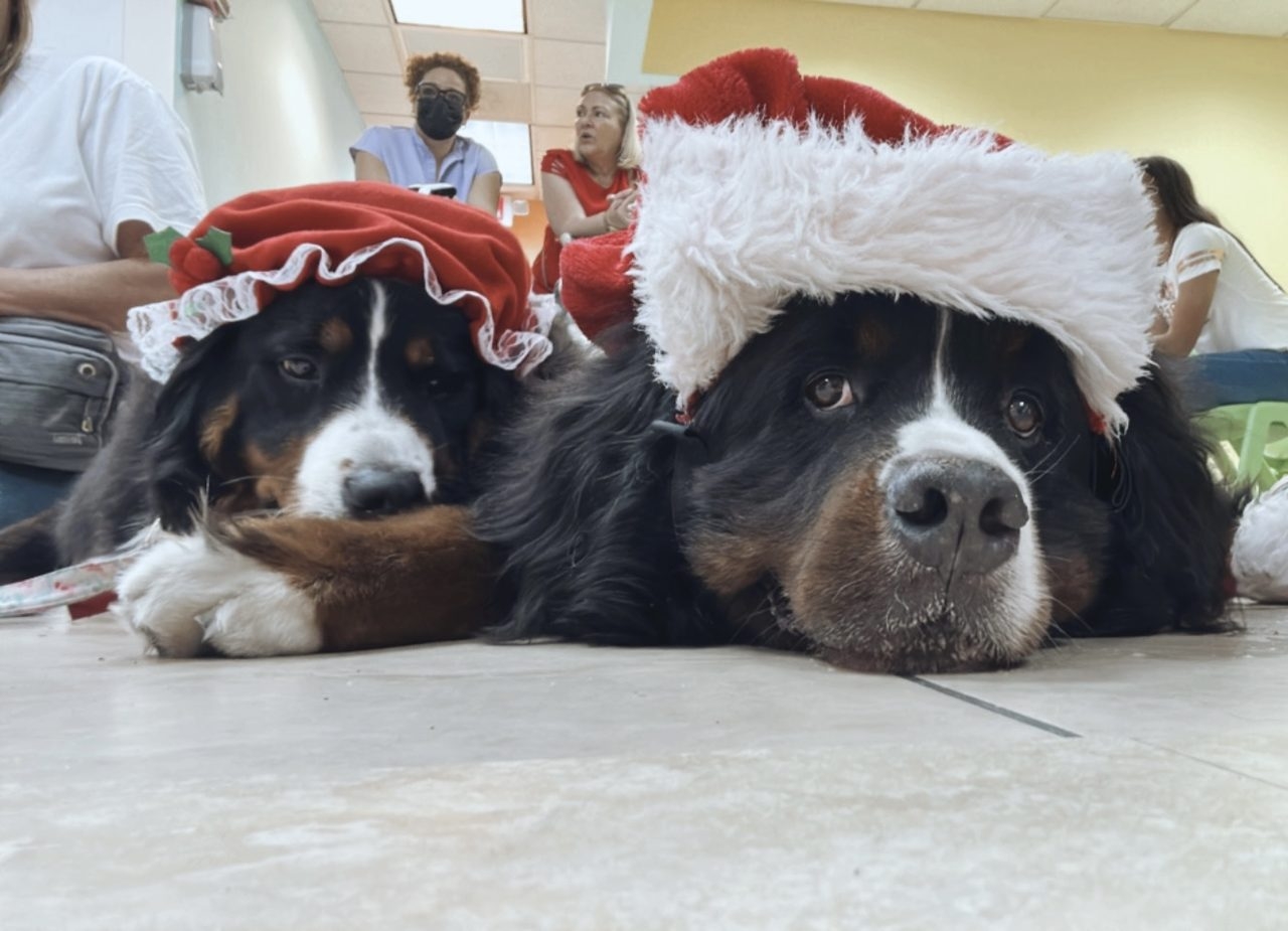 Santa Paws at Pedikidz | Ale Ramos Therapy Animals