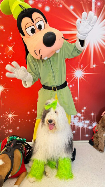  Dec 13, 2023 | Ale Ramos Therapy Animals