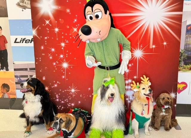  Dec 13, 2023 | Ale Ramos Therapy Animals
