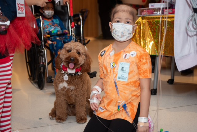  Dec 13, 2023 | Ale Ramos Therapy Animals