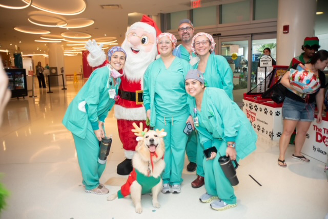  Dec 13, 2023 | Ale Ramos Therapy Animals