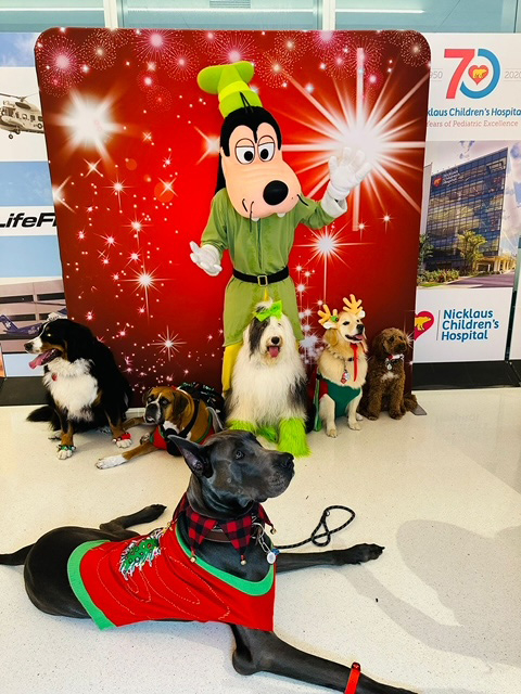  Dec 13, 2023 | Ale Ramos Therapy Animals