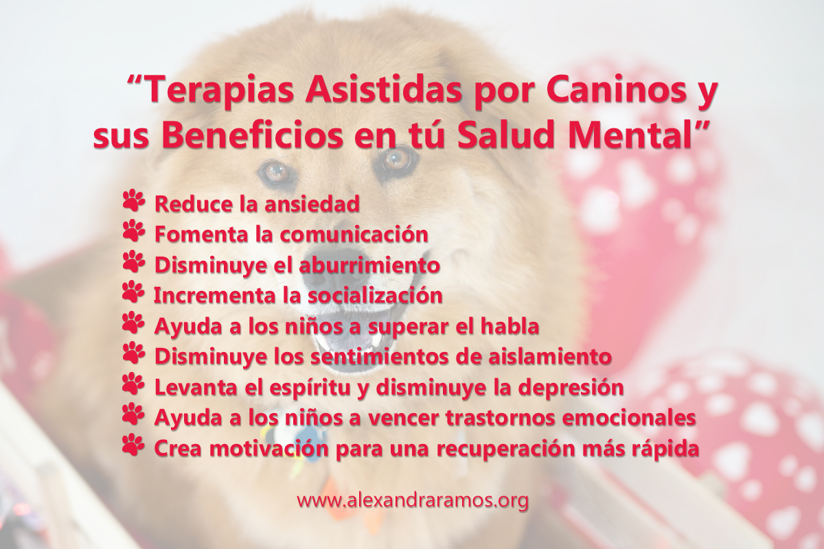 Terapias asistidas por caninos y sus beneficios | Ale Ramos Therapy Animals