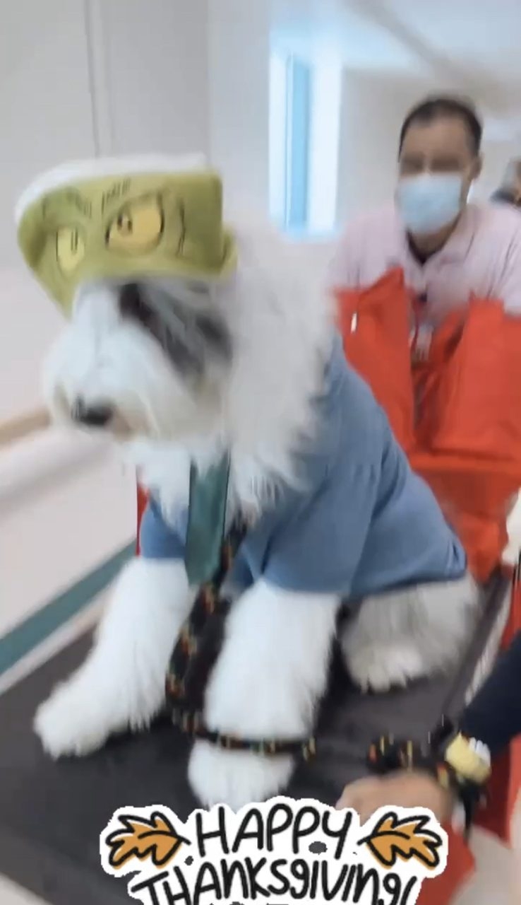 Thanksgiving at Nicklaus Children’s Hospital with Thor | Ale Ramos Therapy Animals