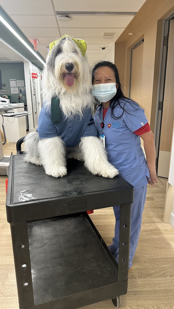 Thanksgiving at Nicklaus Children’s Hospital with Thor | Ale Ramos Therapy Animals