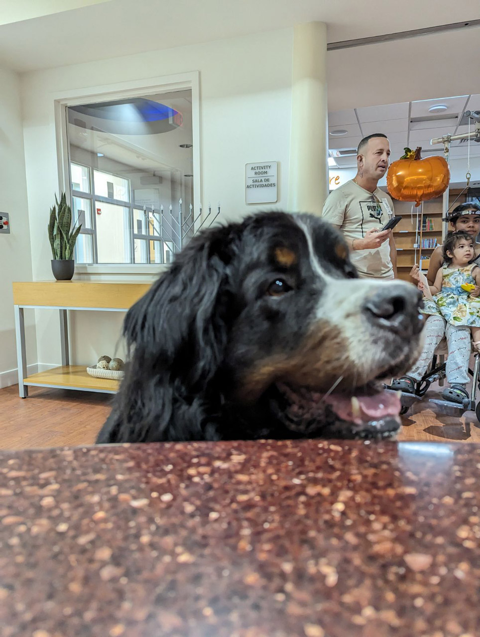  Nov 23, 2023 | Ale Ramos Therapy Animals
