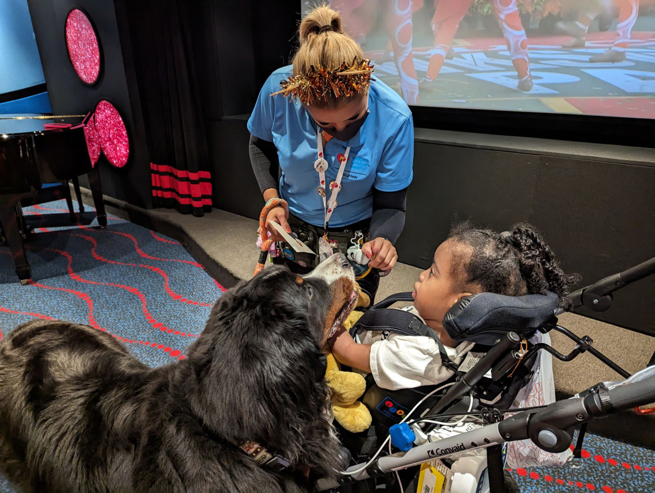  Nov 23, 2023 | Ale Ramos Therapy Animals