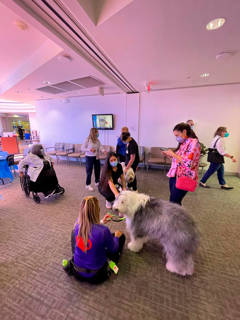  March 22, 2023 | Ale Ramos Therapy Animals