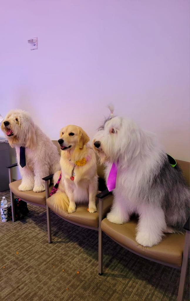  March 22, 2023 | Ale Ramos Therapy Animals