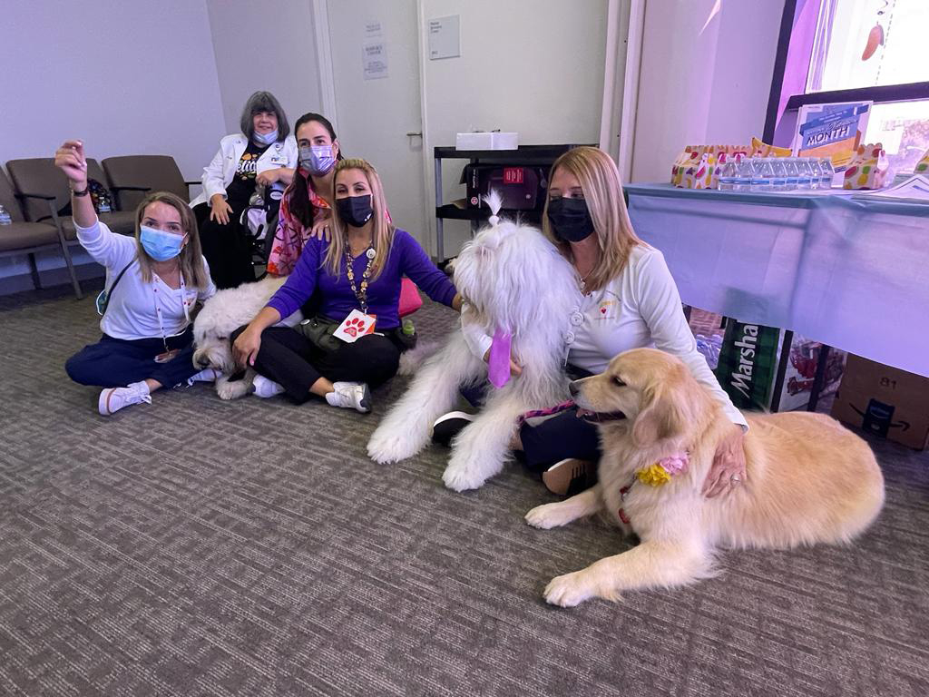  March 22, 2023 | Ale Ramos Therapy Animals