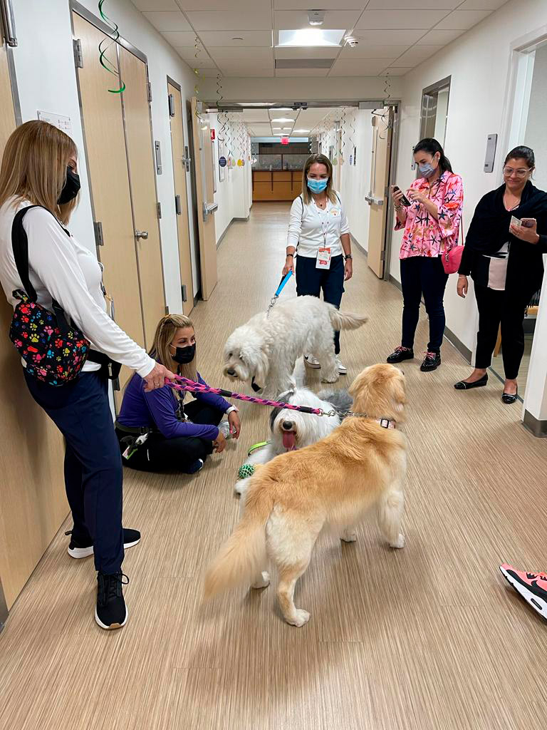  March 22, 2023 | Ale Ramos Therapy Animals