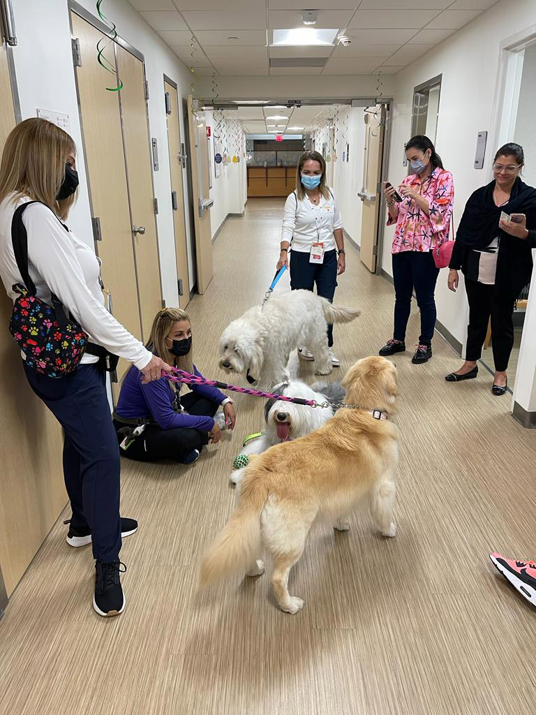  March 22, 2023 | Ale Ramos Therapy Animals