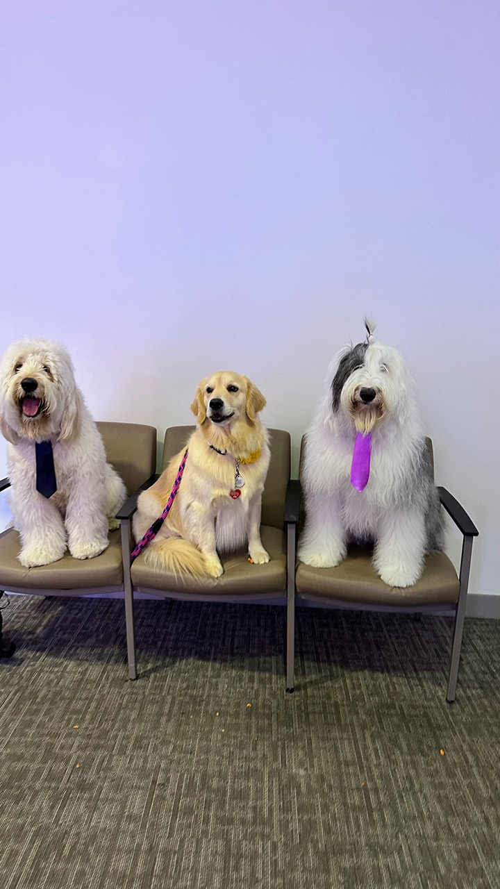  March 22, 2023 | Ale Ramos Therapy Animals