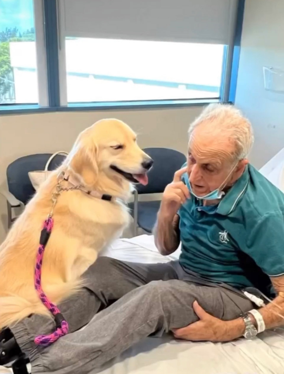  March 22, 2023 | Ale Ramos Therapy Animals