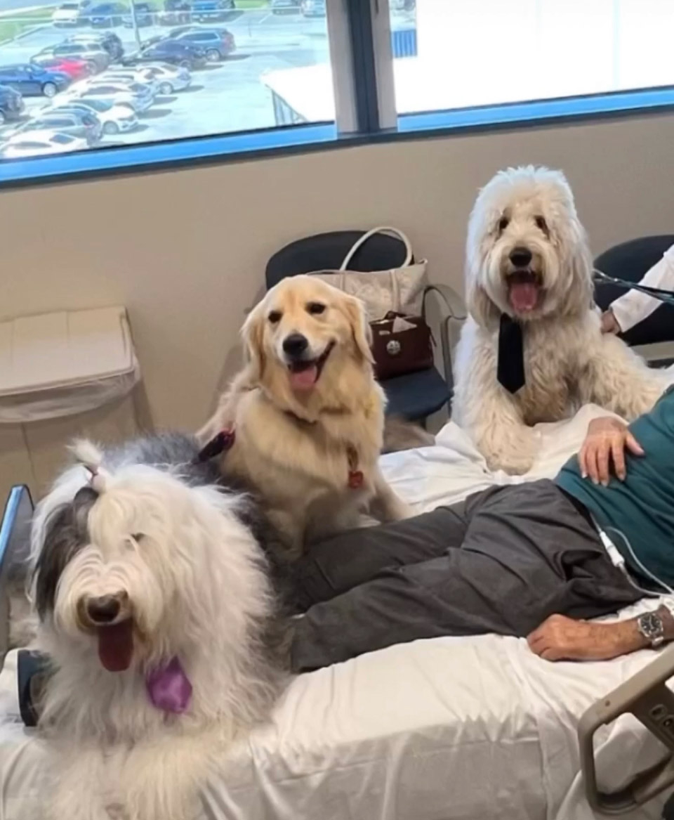  March 22, 2023 | Ale Ramos Therapy Animals