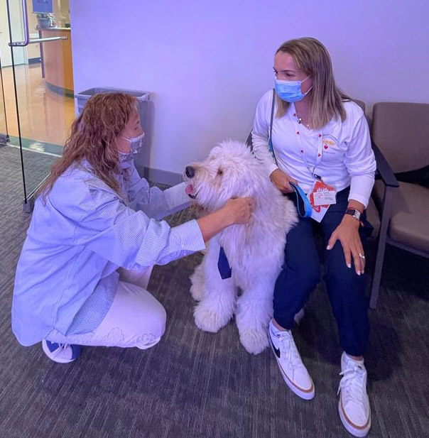 March 22, 2023 | Ale Ramos Therapy Animals