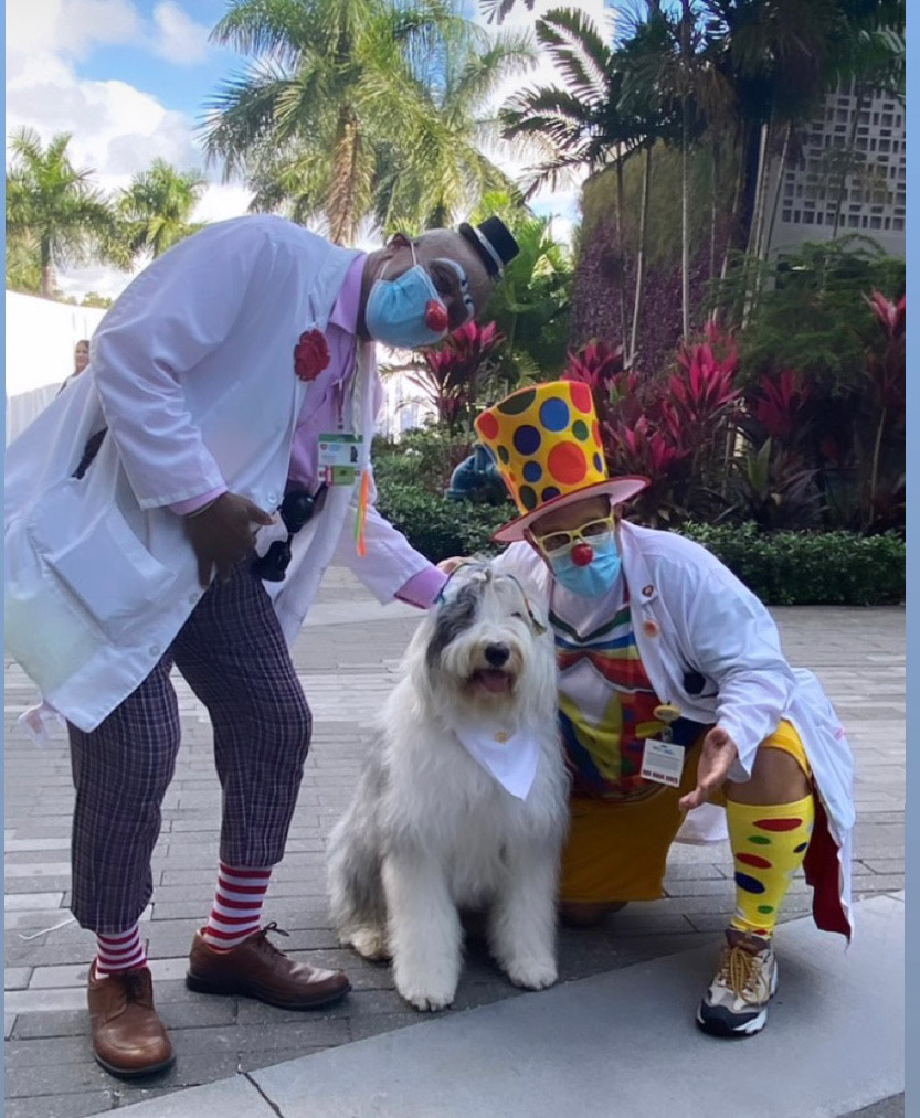 Thor at Nicklaus Children's Hospital Celebration 2023 | Ale Ramos Therapy Animals