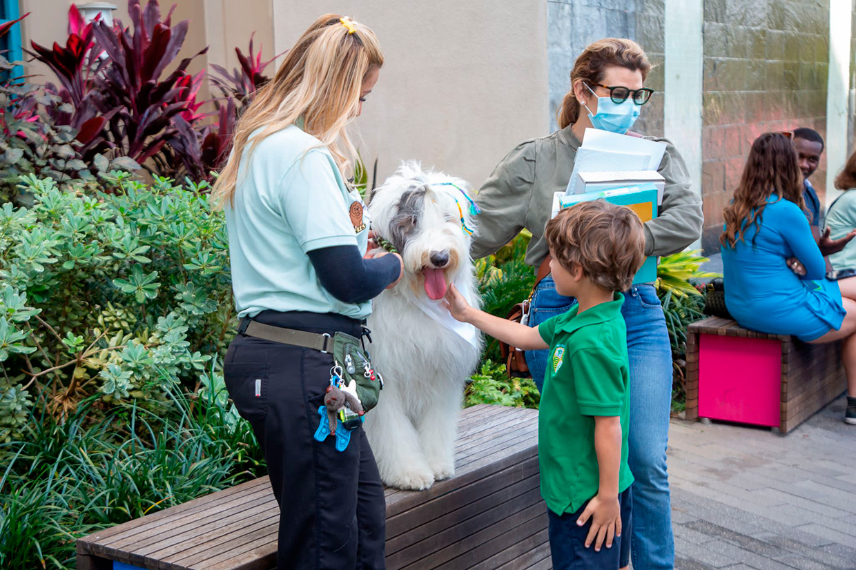 Thor at Nicklaus Children's Hospital Celebration 2023 | Ale Ramos Therapy Animals
