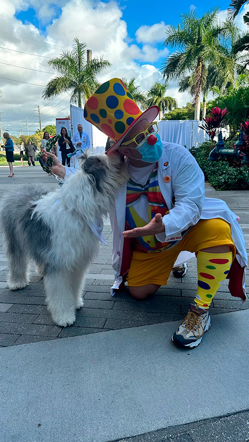 Thor at Nicklaus Children's Hospital Celebration 2023 | Ale Ramos Therapy Animals