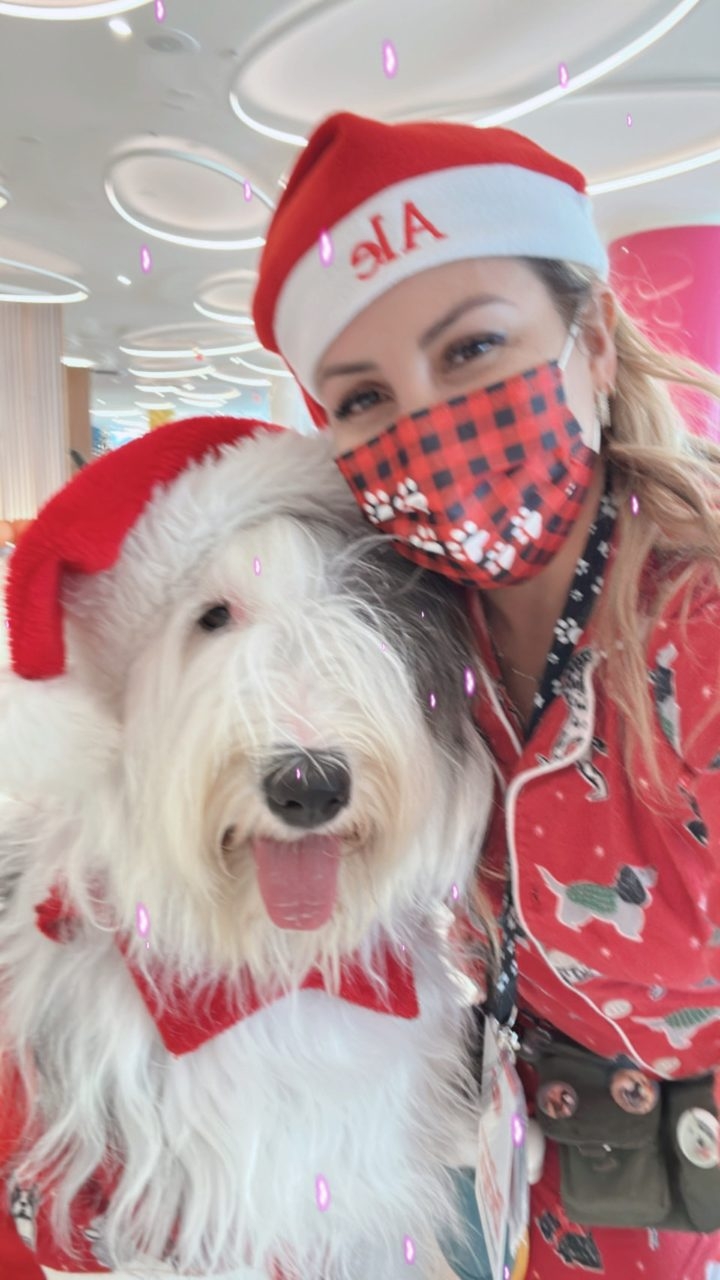 Thor at Nicklaus Children’s Hospital | Ale Ramos Therapy Animals
