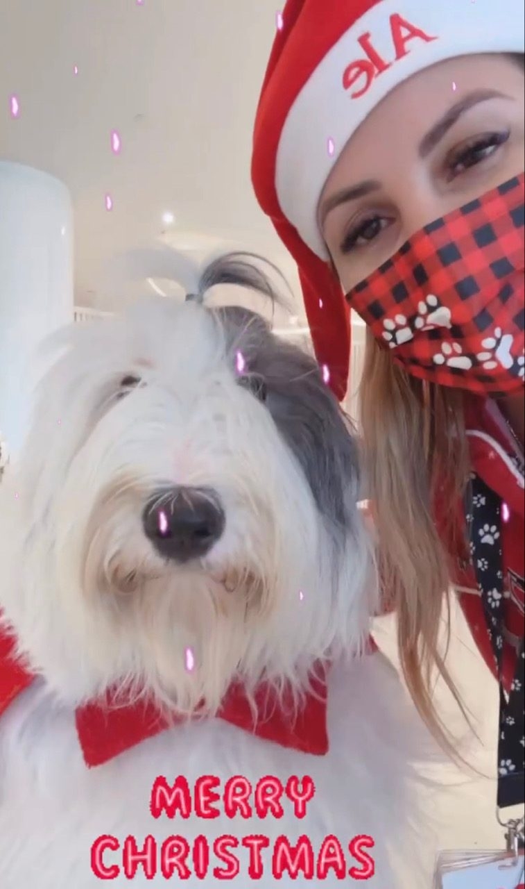 Thor at Nicklaus Children’s Hospital | Ale Ramos Therapy Animals