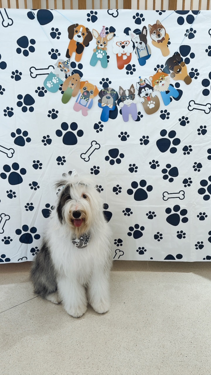  May 2, 2023 | Ale Ramos Therapy Animals