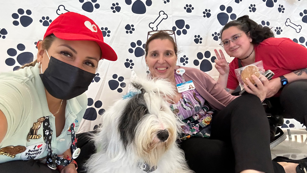  May 2, 2023 | Ale Ramos Therapy Animals